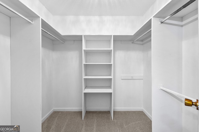 spacious closet featuring carpet