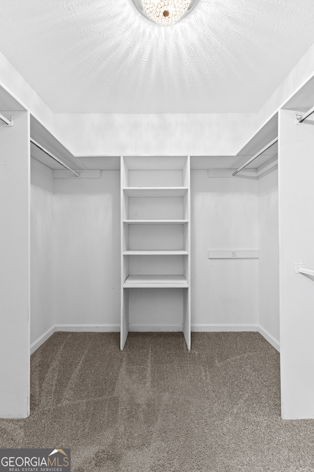 spacious closet with carpet