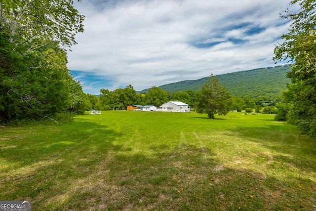 view of yard featuring a view of trees