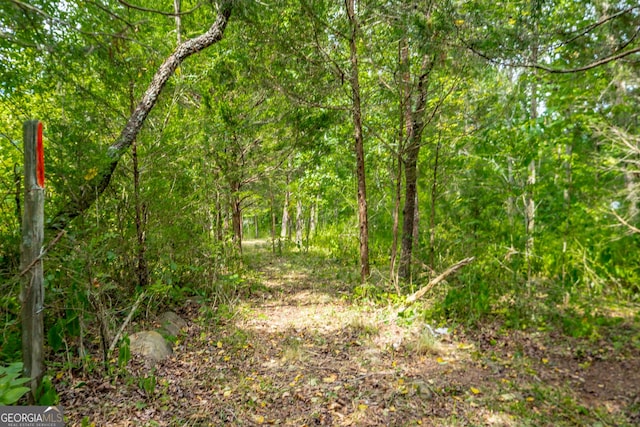 view of local wilderness featuring a view of trees