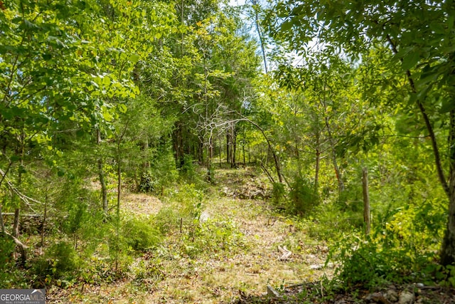 view of local wilderness with a view of trees