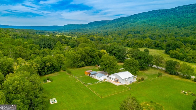 bird's eye view featuring a rural view, a mountain view, and a view of trees