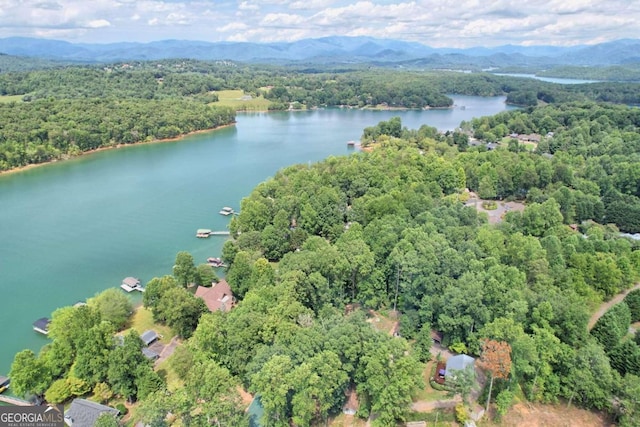 birds eye view of property with a water and mountain view