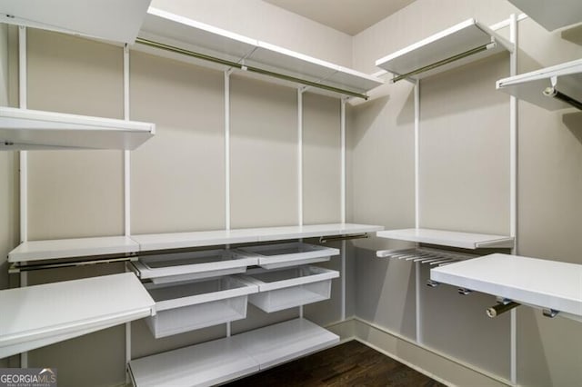 walk in closet featuring dark hardwood / wood-style flooring