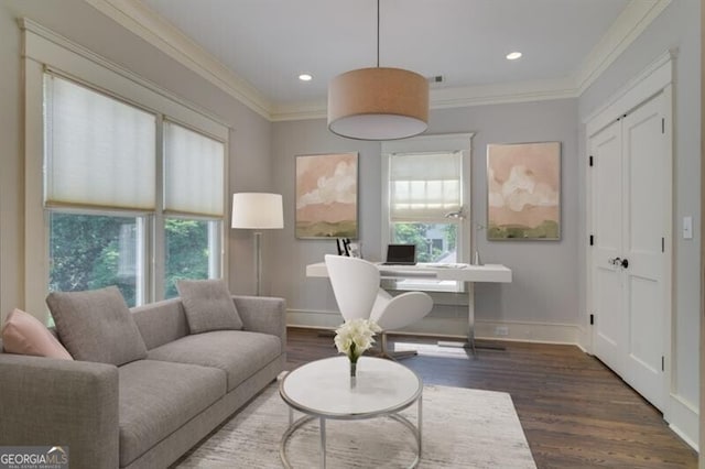 sitting room featuring ornamental molding and dark hardwood / wood-style flooring