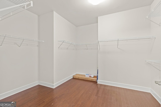 spacious closet featuring wood-type flooring