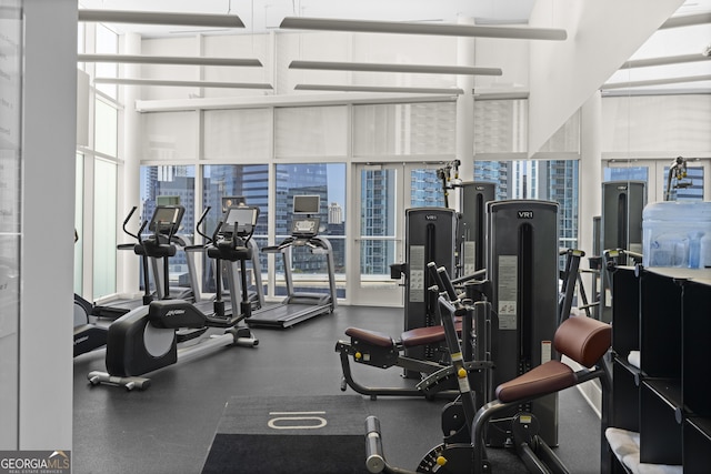 exercise room featuring a healthy amount of sunlight and a wall of windows