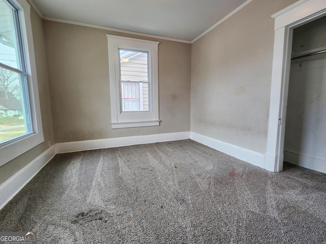 interior space featuring carpet floors, ornamental molding, and multiple windows