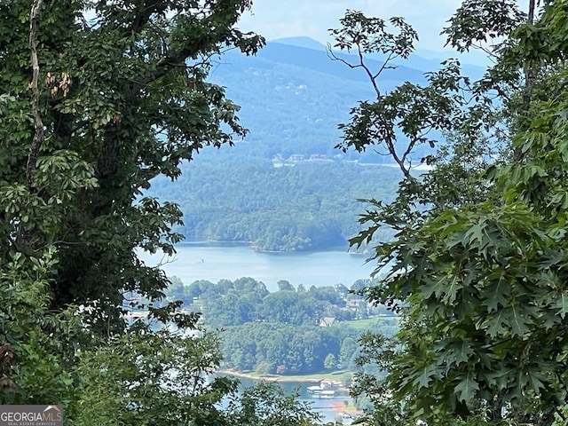 LOT73M Ridges Overlook, Hayesville NC, 28904 land for sale