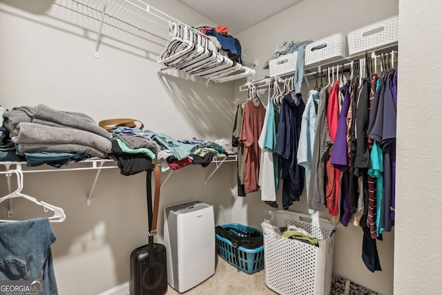 spacious closet featuring carpet flooring