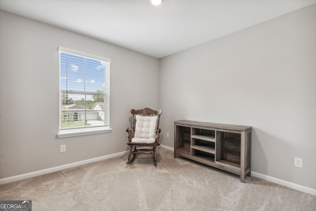 sitting room featuring light carpet