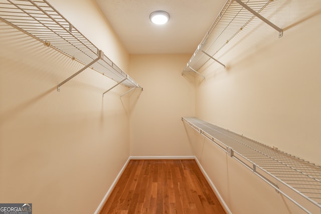 walk in closet featuring wood-type flooring