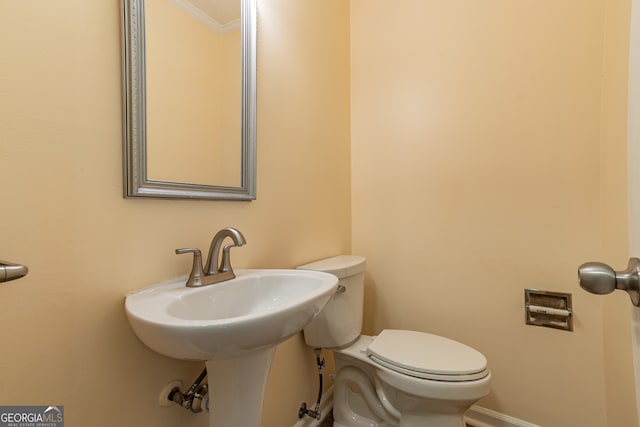 bathroom featuring crown molding and toilet