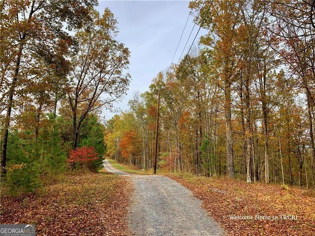 Listing photo 3 for 867 Bolster Ln NE, Ranger GA 30734