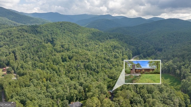 birds eye view of property featuring a mountain view