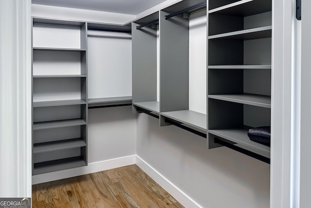 spacious closet with hardwood / wood-style flooring