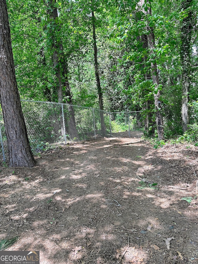 view of local wilderness