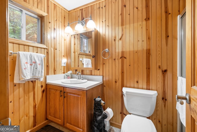 bathroom with wood walls, vanity, and toilet