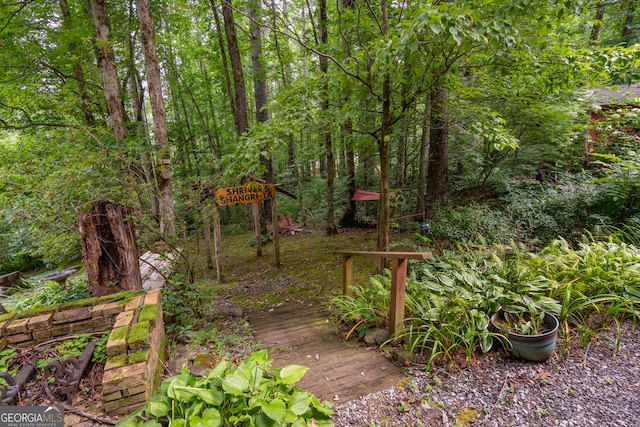 view of yard featuring a wooden deck