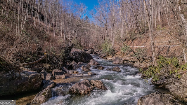 view of local wilderness with a water view