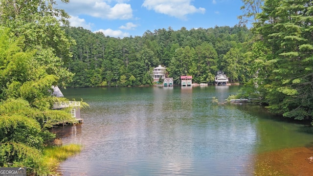 view of water feature