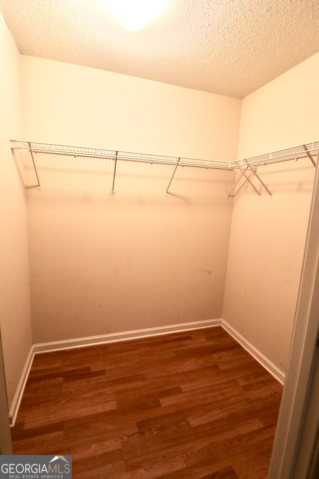 walk in closet featuring wood-type flooring