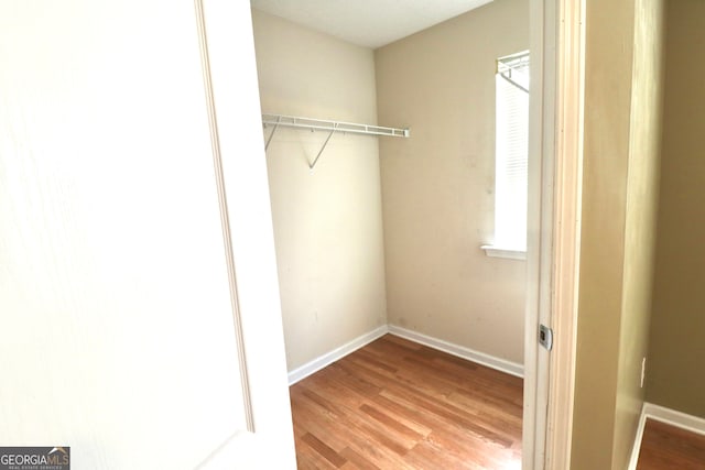 spacious closet with light wood-type flooring