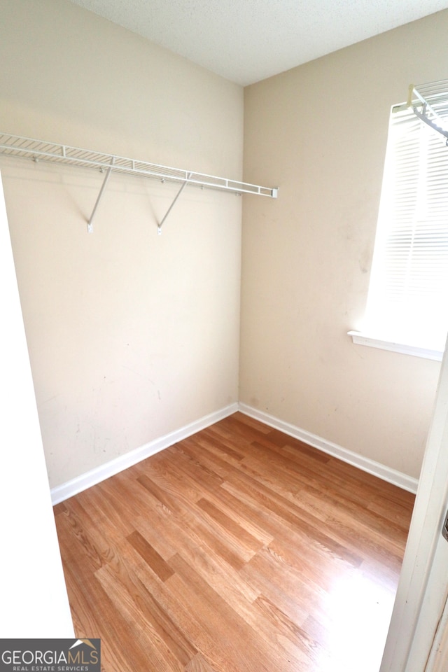 spacious closet with wood-type flooring