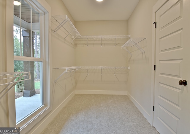 spacious closet with carpet floors