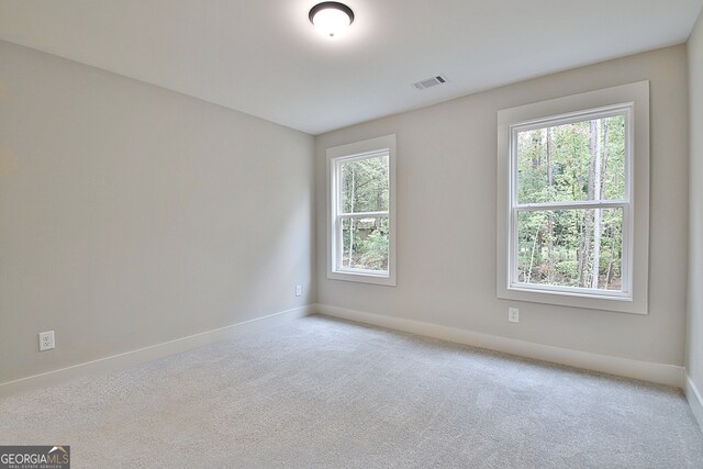 carpeted spare room with a healthy amount of sunlight