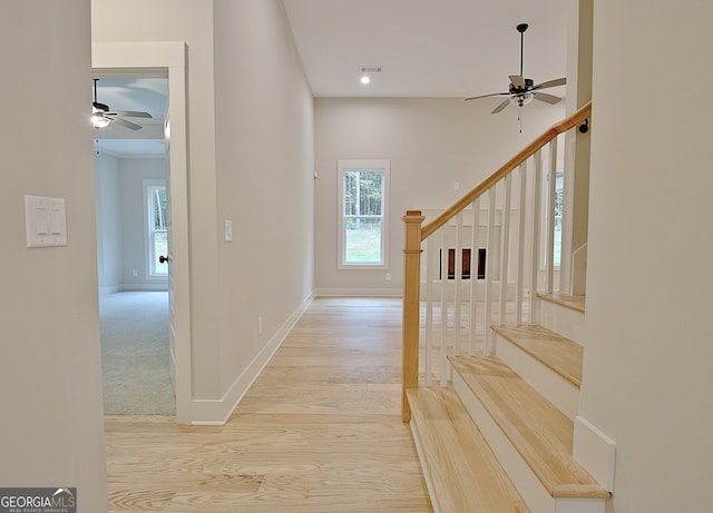 staircase featuring hardwood / wood-style floors and ceiling fan