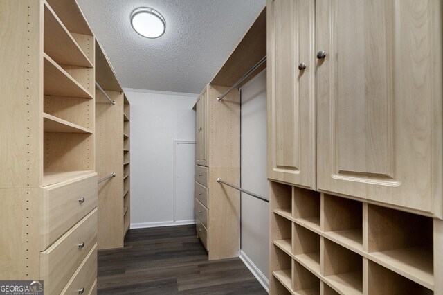 walk in closet featuring dark wood-type flooring