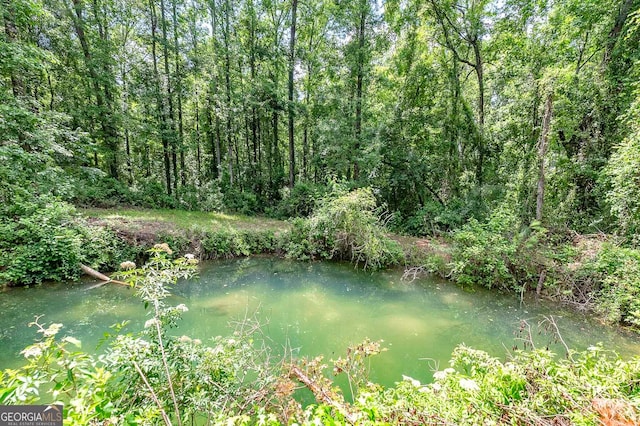 view of water feature