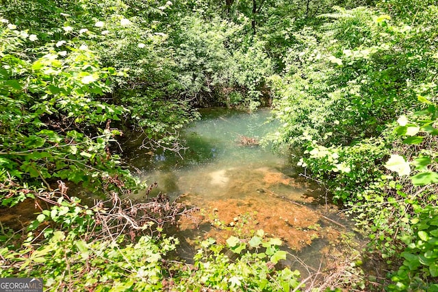 view of local wilderness with a water view