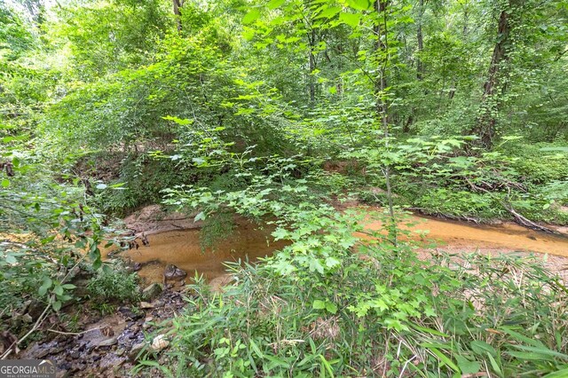 view of local wilderness with a water view