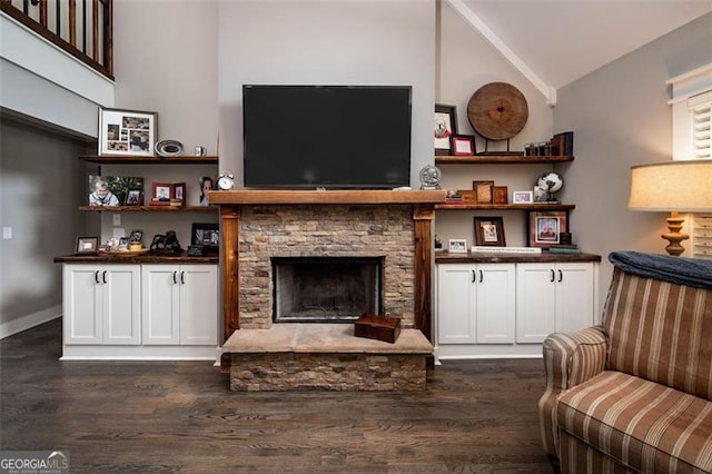 living room with a stone fireplace, high vaulted ceiling, and dark hardwood / wood-style flooring