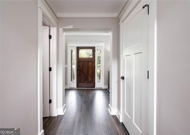 doorway to outside featuring dark wood-type flooring