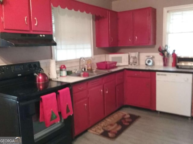 kitchen featuring sink, white appliances, light hardwood / wood-style flooring, and a healthy amount of sunlight