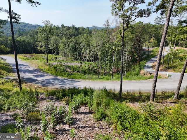 Listing photo 2 for LOT3 Mountain Laurel Rdg, Mineral Bluff GA 30559