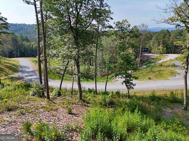 Listing photo 3 for LOT3 Mountain Laurel Rdg, Mineral Bluff GA 30559