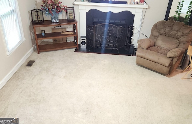 living area with carpet floors