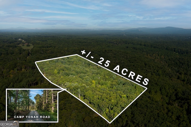 1113 Camp Yonah Rd, Clarkesville GA, 30523 land for sale