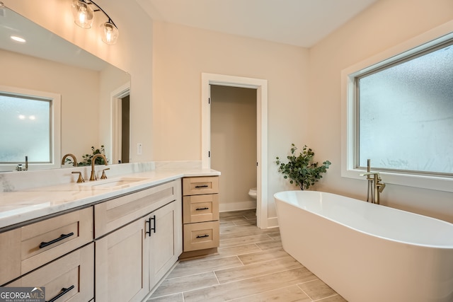 bathroom featuring a bath, toilet, and vanity