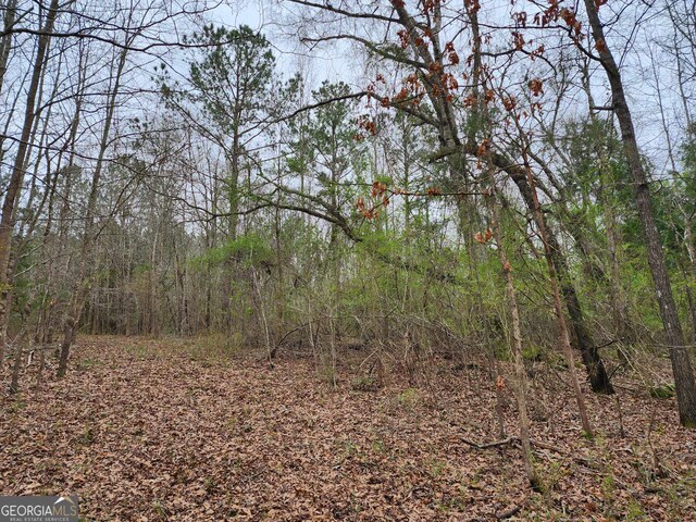 LOT17 Smith Rd, Thomaston GA, 30286 land for sale