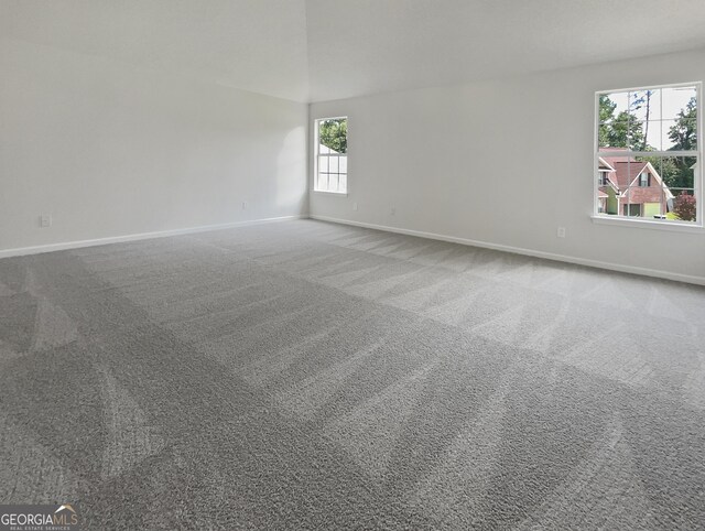 carpeted empty room with a wealth of natural light