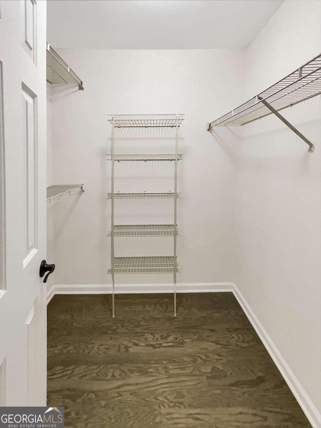 walk in closet with dark hardwood / wood-style flooring