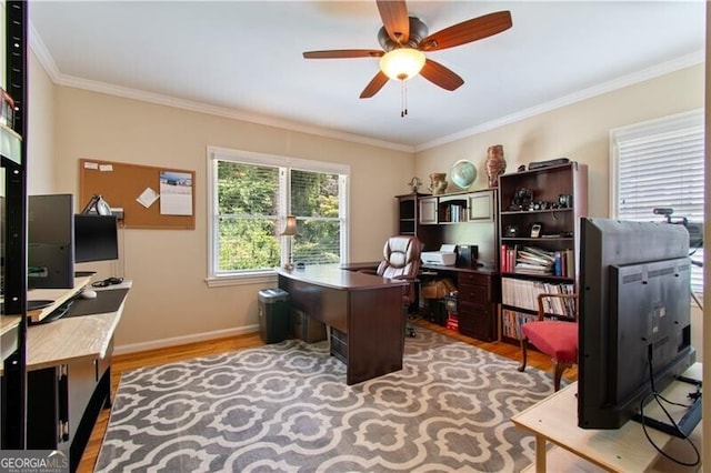 office with ceiling fan, light wood-type flooring, and crown molding