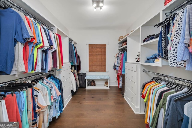 walk in closet with wood finished floors