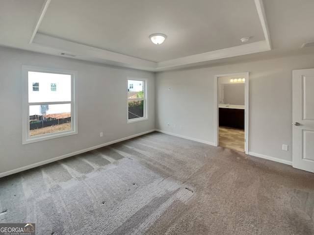 spare room with carpet flooring, plenty of natural light, and a raised ceiling