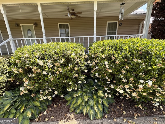 exterior details featuring ceiling fan